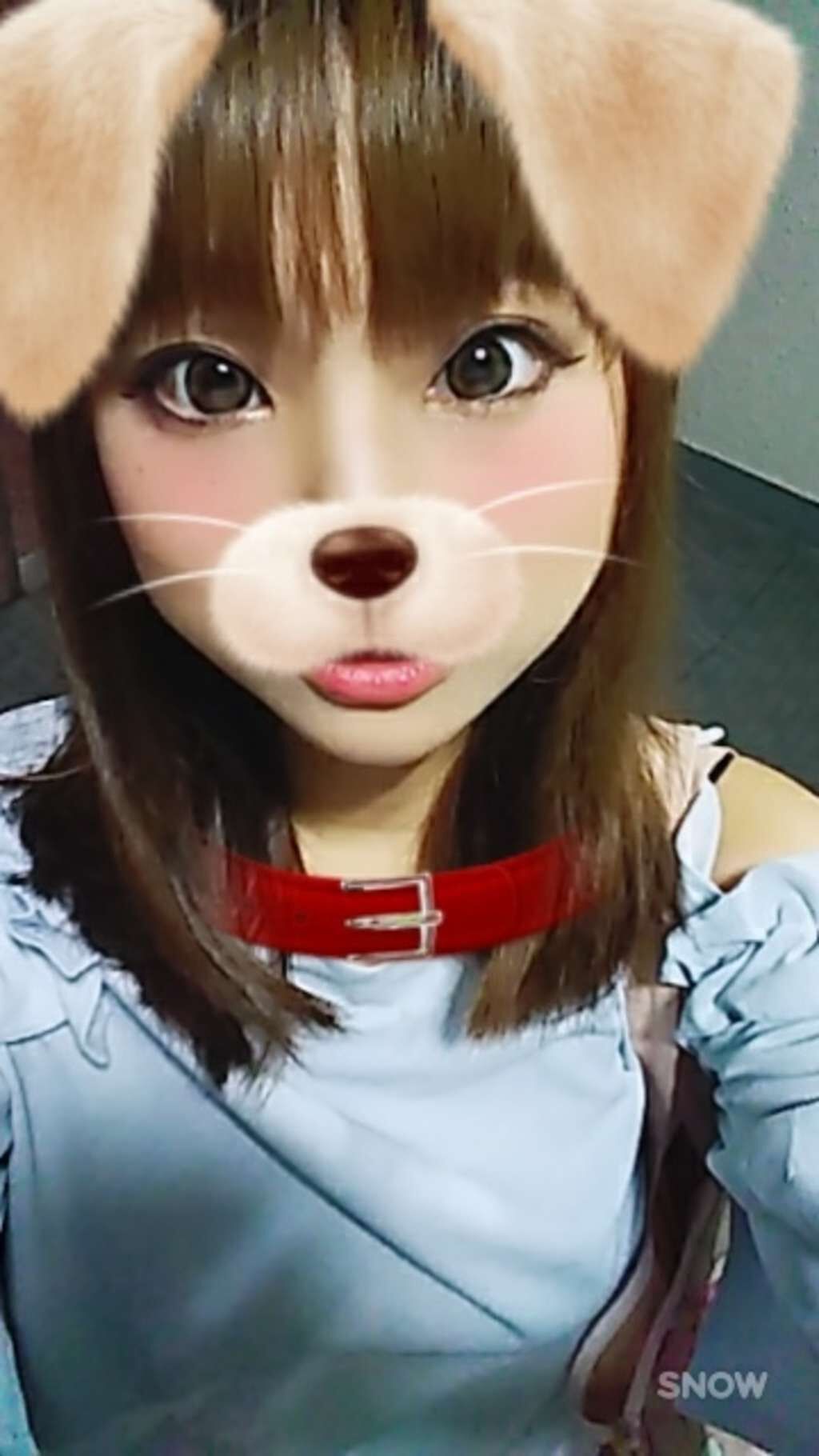 ジュエリングアイズ/MAJOLICA MAJORCA/アイシャドウパレットを使ったクチコミ(2枚目)