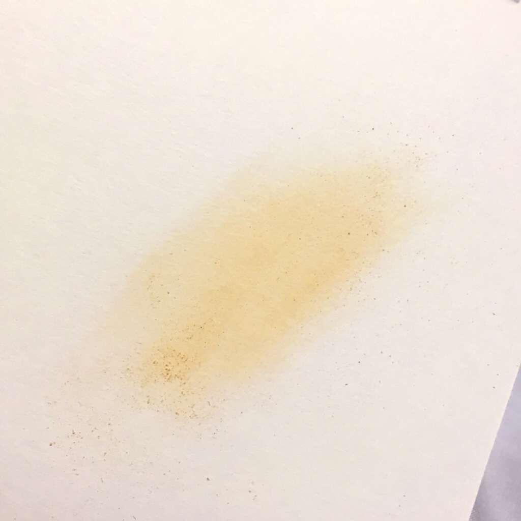 パウダーファンデーション/チャコットプランツ/パウダーファンデーションを使ったクチコミ（3枚目）