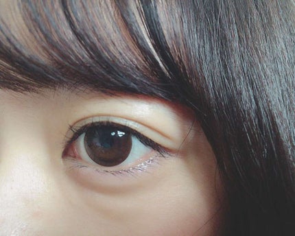 BRIGITTE(ブリジット)ワンデー/BRIGITTE/ワンデー(1DAY)カラコンを使ったクチコミ(2枚目)