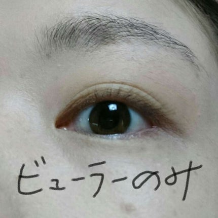 「塗るつけまつげ」ロングタイプ/デジャヴュ/マスカラを使ったクチコミ(1枚目)