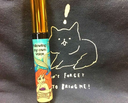 SHOBIDO DNマスカラ BKボリュームのクチコミ「アリエル好き過ぎてしまむらで買ったマスカラです。
ロングタイプが好きなのであまりボリュームタイ.....」(1枚目)