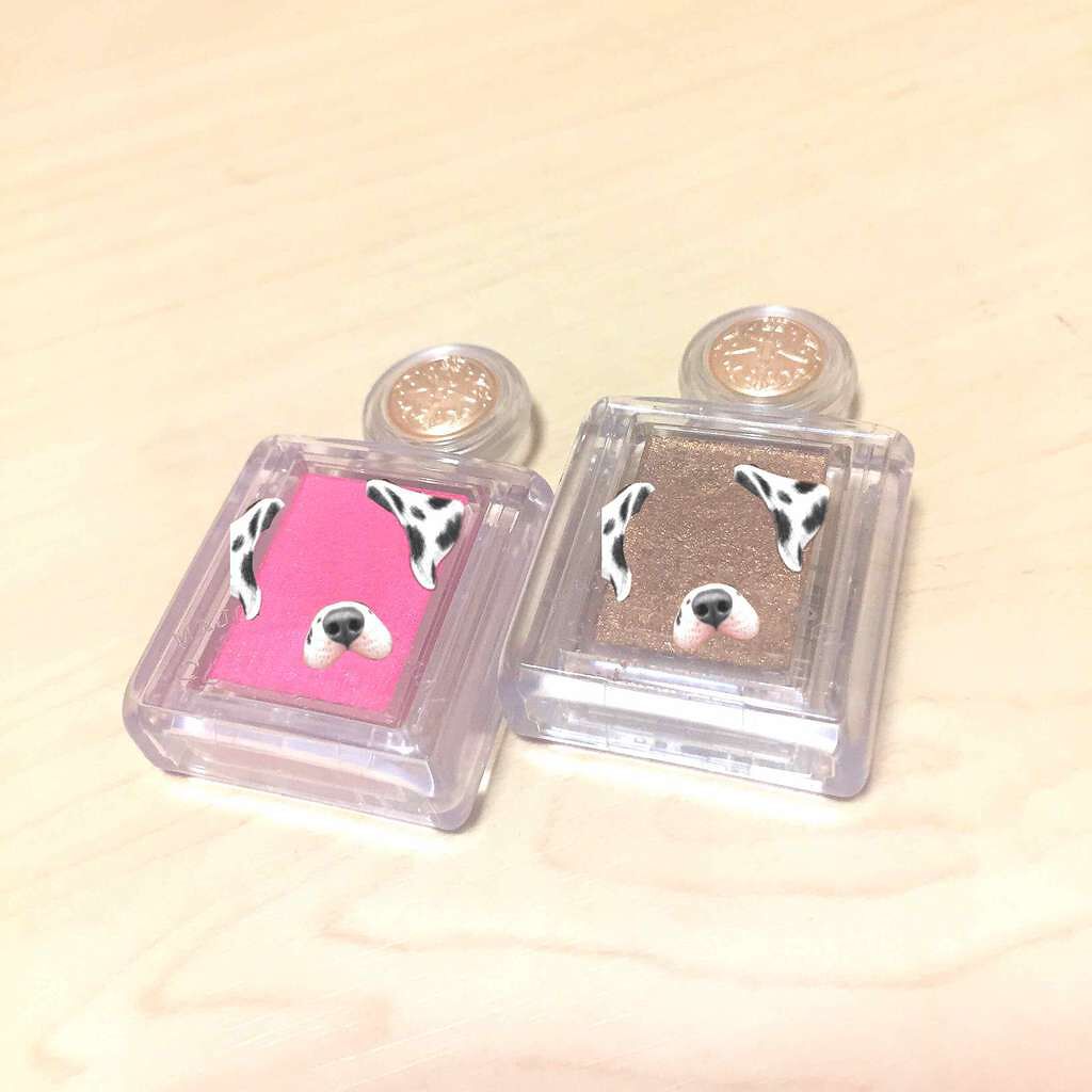 シャドーカスタマイズ/MAJOLICA MAJORCA/単色アイシャドウを使ったクチコミ(1枚目)