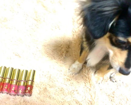 オールインワンティント/シャインリッチ/リップティントを使ったクチコミ(1枚目)