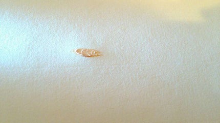 ハイライト&リタッチコンシーラー UV/キャンメイク/リキッドコンシーラーを使ったクチコミ(3枚目)