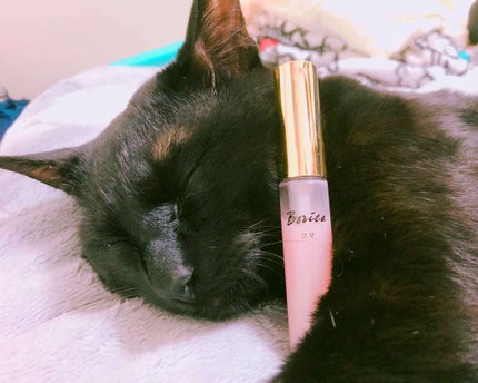 リッププランパー UV/Borica/リップケアを使ったクチコミ(1枚目)