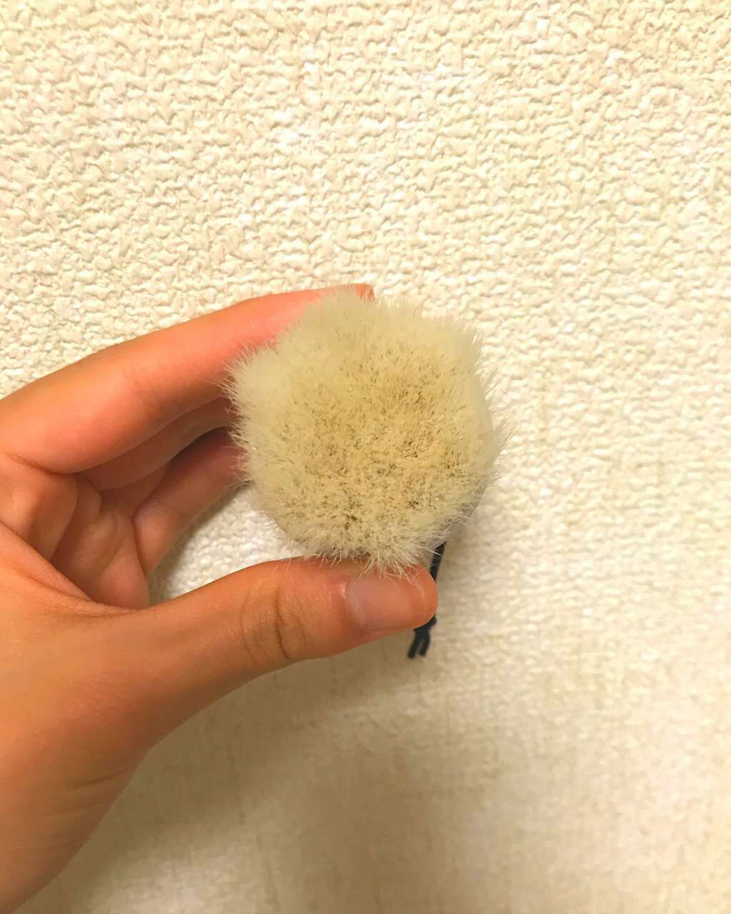 極み洗顔筆/moonshot/その他スキンケアグッズを使ったクチコミ（2枚目）