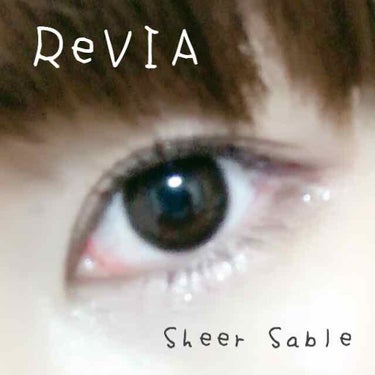 ReVIA 1day [COLOR] Sheer Sable（シアーセーブル）/ReVIA/ワンデー（１DAY）カラコンを使ったクチコミ（2枚目）