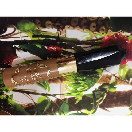 カラーリングアイブロウ/ヘビーローテーション/眉マスカラを使ったクチコミ(1枚目)