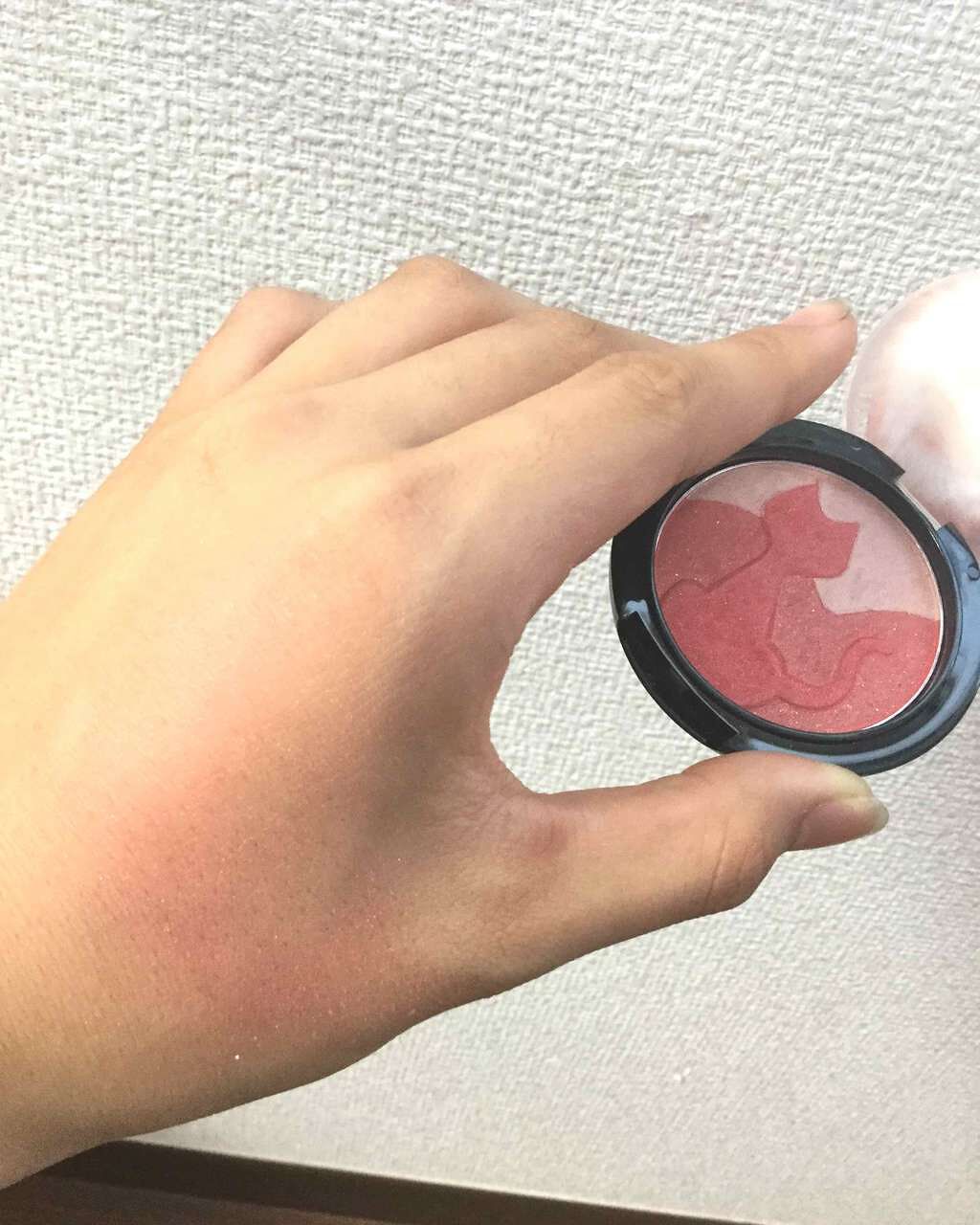 チークキャット/ドド/パウダーチークを使ったクチコミ(3枚目)