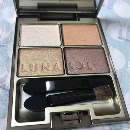 スキンモデリングアイズ/LUNASOL/アイシャドウパレットを使ったクチコミ(1枚目)