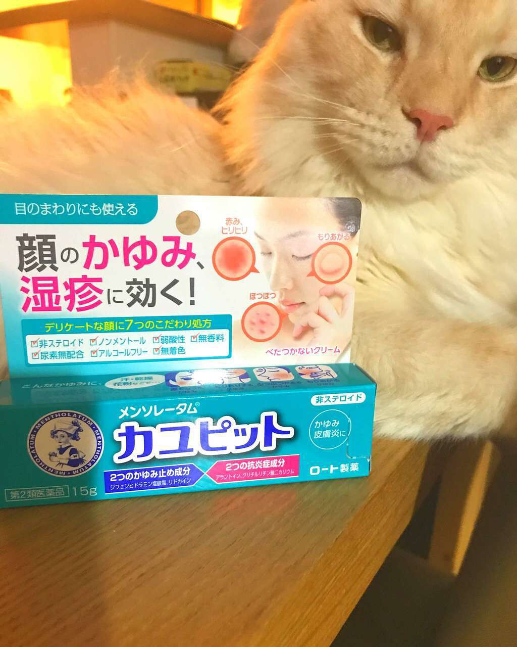 カユピット(医薬品)/メンソレータム/その他を使ったクチコミ(1枚目)