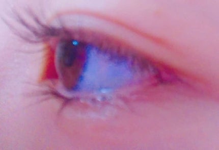 「塗るつけまつげ」ロングタイプ/デジャヴュ/マスカラを使ったクチコミ(2枚目)