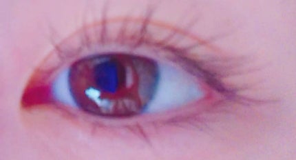 「塗るつけまつげ」ロングタイプ/デジャヴュ/マスカラを使ったクチコミ(1枚目)