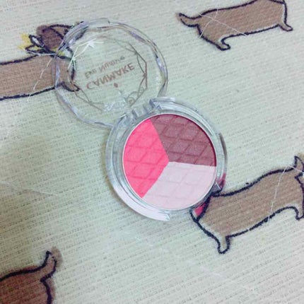 アイニュアンス/キャンメイク/アイシャドウパレットを使ったクチコミ(2枚目)