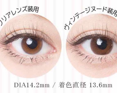 Angelcolor Bambi Series Vintage 1day/AngelColor/ワンデー（１DAY）カラコンを使ったクチコミ（2枚目）