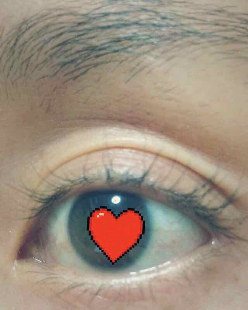 リバイタラッシュ アドバンス ジャパン/エム・アール・アイ/まつげ美容液を使ったクチコミ(3枚目)