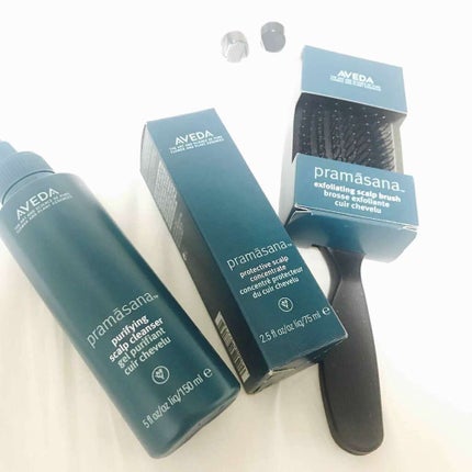 試してみた】AVEDA プラマサナ ピュリファイング スカルプ 試してみた】AVEDA プラマサナ ピュリファイング スカルプ