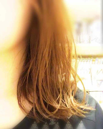 ニゼルジェリー/ニゼル ドレシアコレクション/ヘアジェルを使ったクチコミ(1枚目)