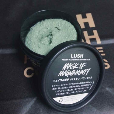 
【LUSH 】パワーマスク

3回リピートしてる大好きなパックです🐻💓

初め使った時はペパーミントの香りと
スースーする様な使用感にとても驚きましたが、
それがとってもクセになります！
冬の季節は少