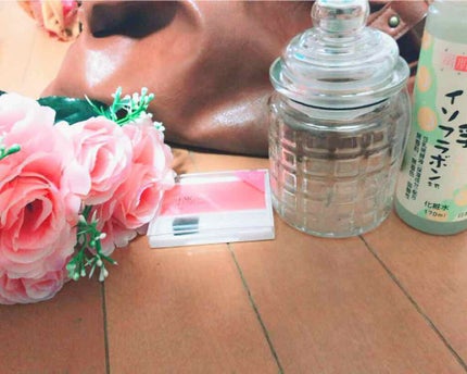 エルファープロフェッショナルチーク/DAISO/パウダーチークを使ったクチコミ(1枚目)