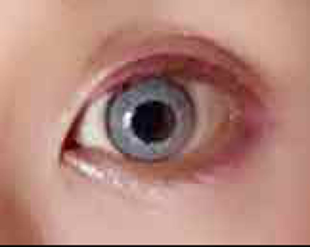 クリアコートマスカラ/キャンメイク/マスカラトップコートを使ったクチコミ（2枚目）