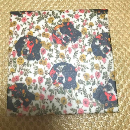 パウダー ブラッシュ/PAUL & JOE BEAUTE/パウダーチークを使ったクチコミ(1枚目)