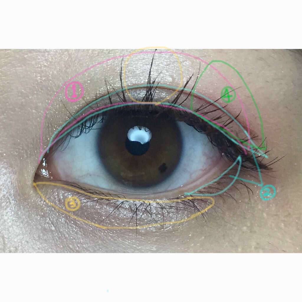 【旧品】パーフェクトスタイリストアイズ/キャンメイク/アイシャドウパレットを使ったクチコミ(2枚目)