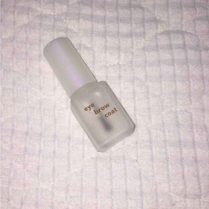 エバビレーナ アイブローコート/DAISO/アイブロウコートを使ったクチコミ(1枚目)