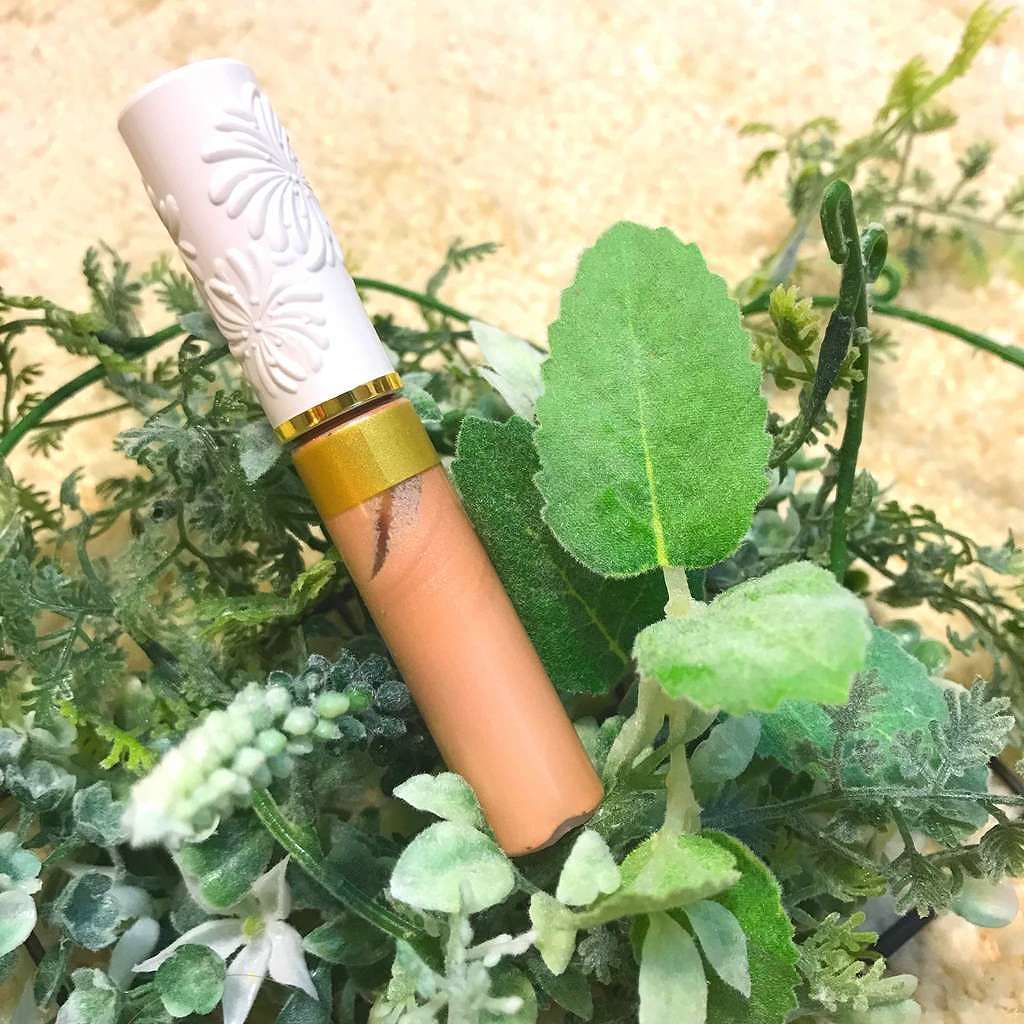 アイグロス S/PAUL & JOE BEAUTE/リキッドアイシャドウを使ったクチコミ(1枚目)