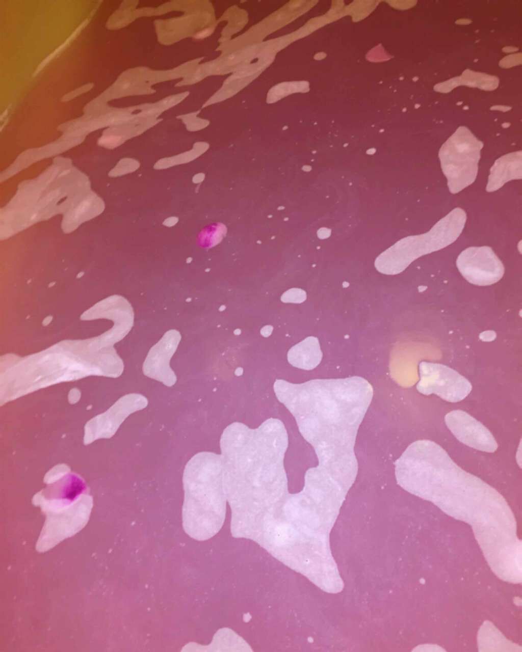 セクシー・ダイナマイト/ラッシュ/炭酸系入浴剤を使ったクチコミ(2枚目)