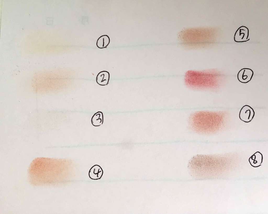 シャトー ラビオッテ ワイン アイシャドウ パレット/LABIOTTE/アイシャドウパレットを使ったクチコミ(2枚目)