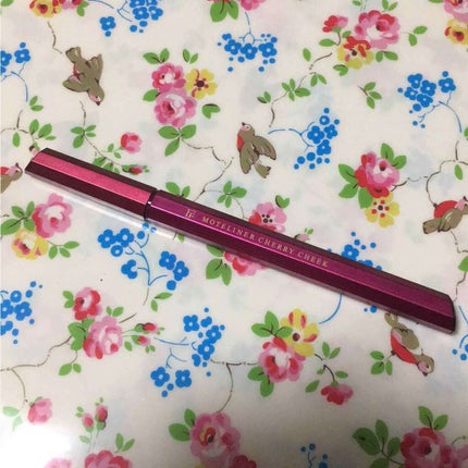 モテライナー リキッド/UZU BY FLOWFUSHI/リキッドアイライナーを使ったクチコミ(1枚目)