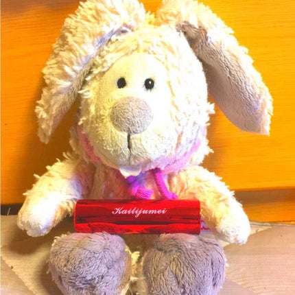 フラワーティントリップN オイルイン/Kailijumei/リップティントを使ったクチコミ(1枚目)