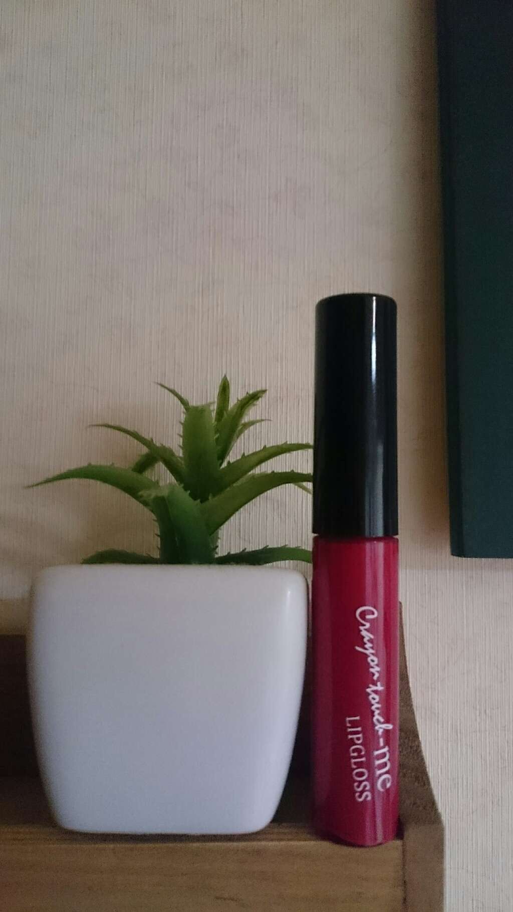 STリップグロス/crayontouch-me/リップグロスを使ったクチコミ(1枚目)