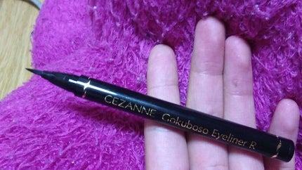 極細 アイライナーR/CEZANNE/リキッドアイライナーを使ったクチコミ(1枚目)