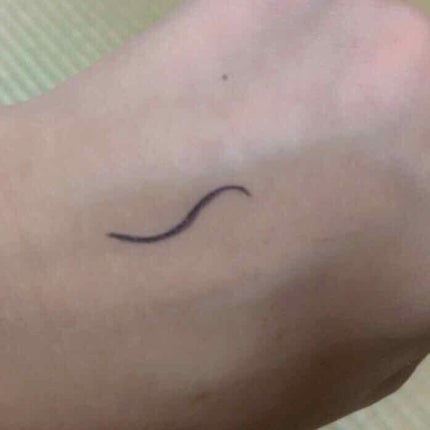 極細 アイライナーR 10 ブラック/CEZANNE/リキッドアイライナーを使ったクチコミ(2枚目)