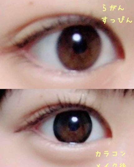 Angelcolor Bambi Series 1day /AngelColor/ワンデー(1DAY)カラコンを使ったクチコミ(3枚目)