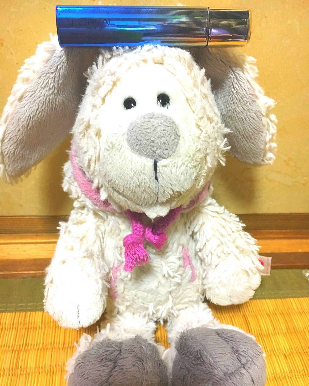 ユイルカレス/ロレアル パリ/リップグロスを使ったクチコミ(1枚目)