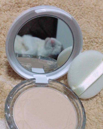 UVクリアフェイスパウダー/CEZANNE/プレストパウダーを使ったクチコミ(2枚目)