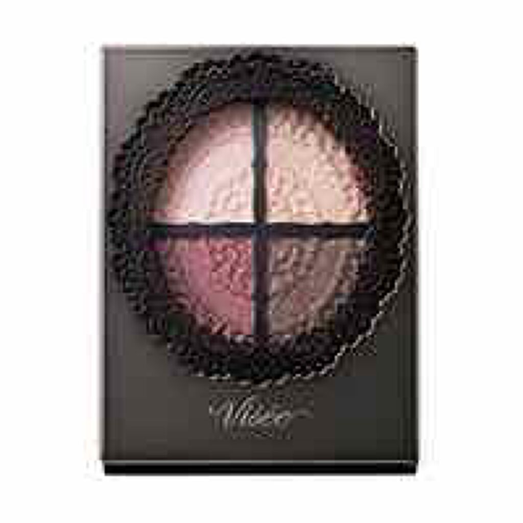 グロッシーリッチ アイズ/Visée/アイシャドウパレットを使ったクチコミ(1枚目)