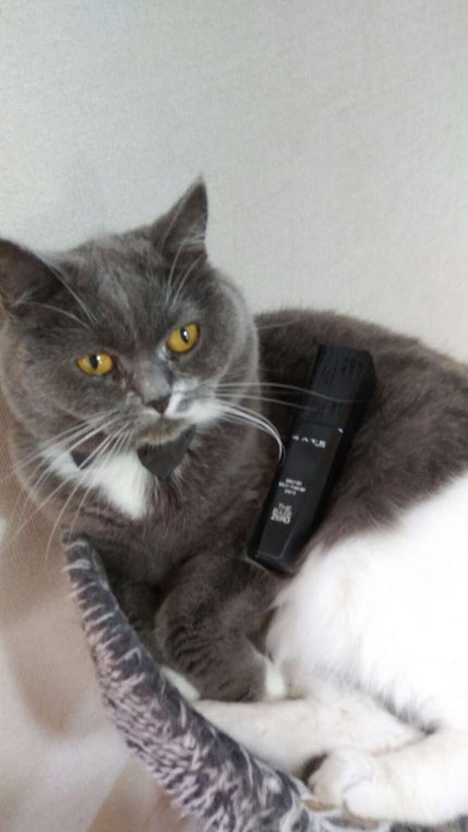 シークレットスキンメイカーゼロ(リキッド)/KATE/リキッドファンデーションを使ったクチコミ(1枚目)