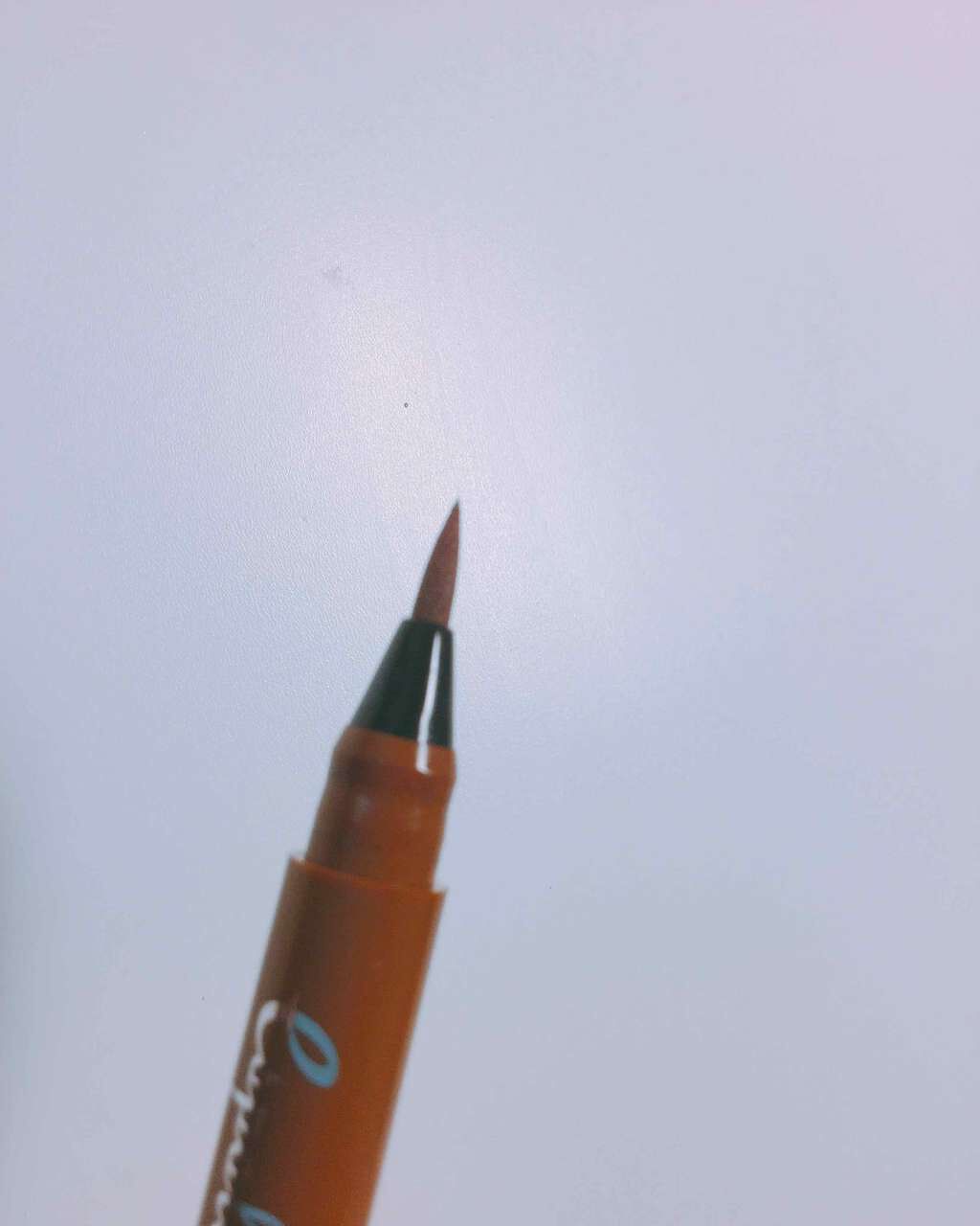 エスポルールカラーアイライナー/エスポルール/リキッドアイライナーを使ったクチコミ（3枚目）