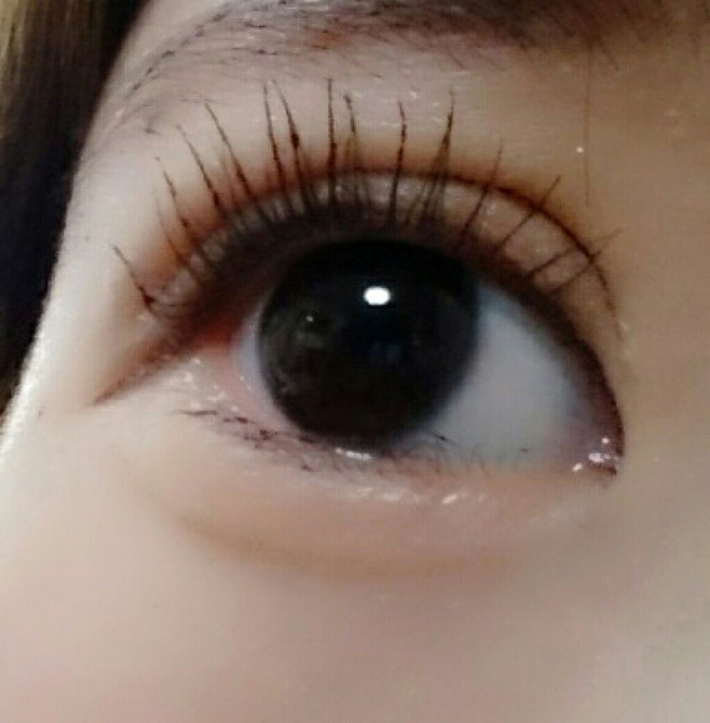 ラッシュエキスパンダー エッジマイスター F/MAJOLICA MAJORCA/マスカラを使ったクチコミ（3枚目）