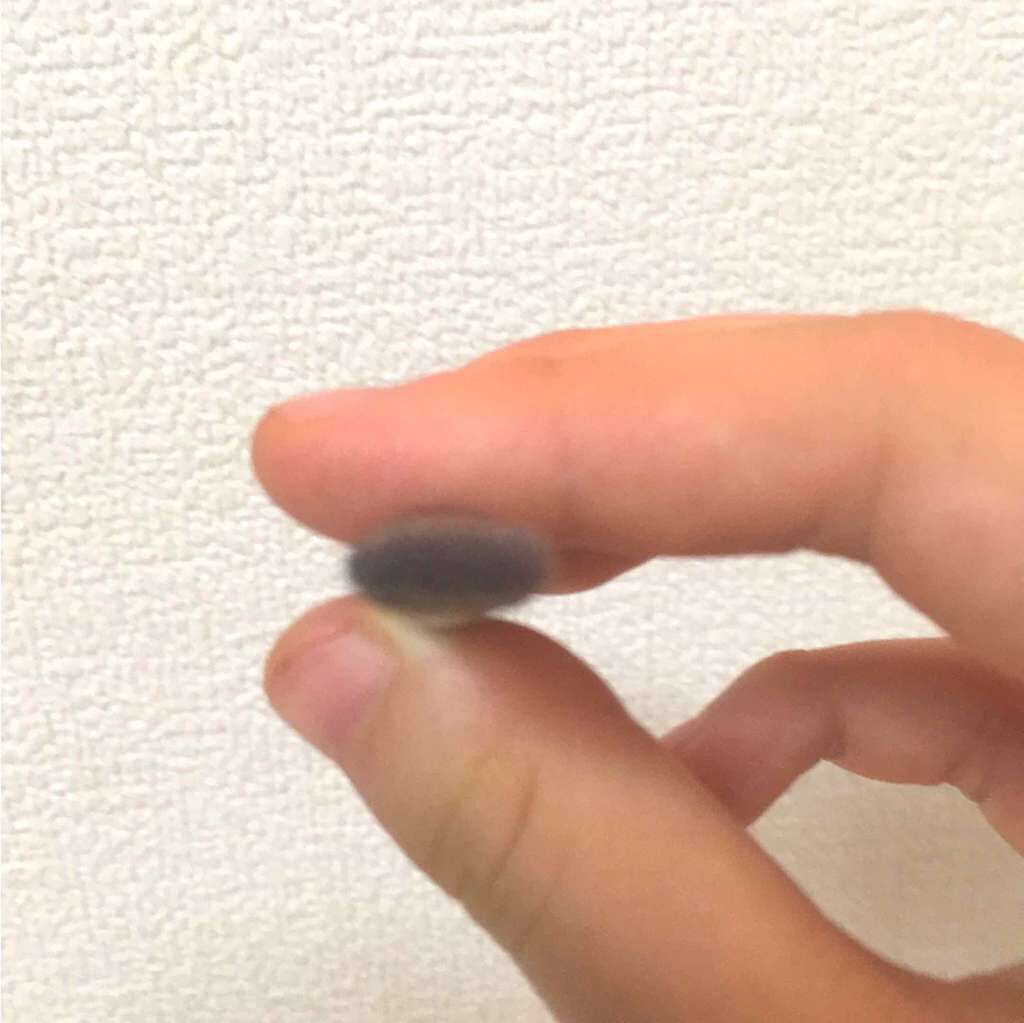 春姫 アイライナーブラシ/DAISO/メイクブラシを使ったクチコミ（2枚目）