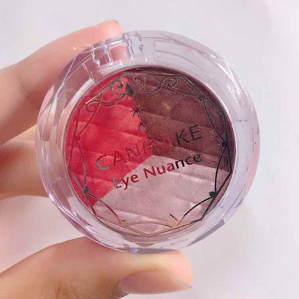 アイニュアンス/キャンメイク/アイシャドウパレットを使ったクチコミ(1枚目)