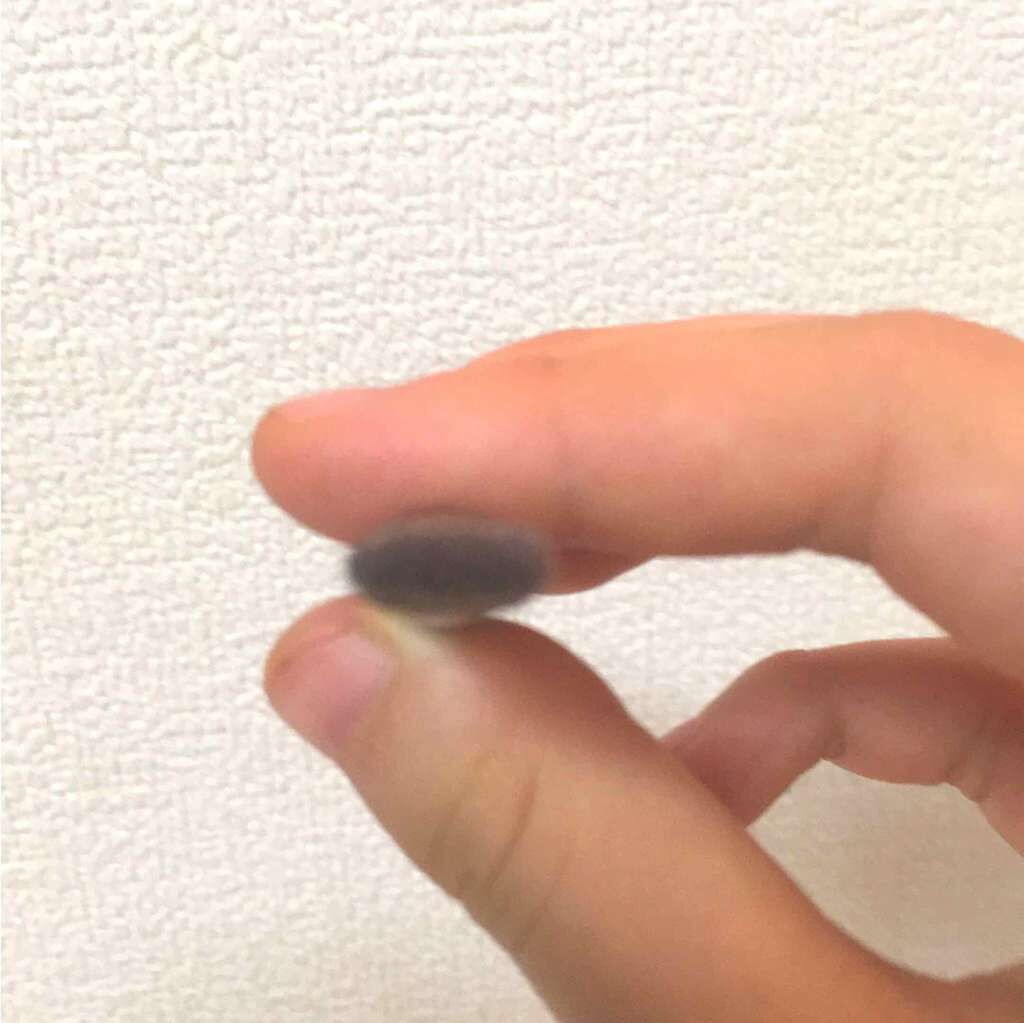 春姫 アイライナーブラシ/DAISO/メイクブラシを使ったクチコミ（3枚目）