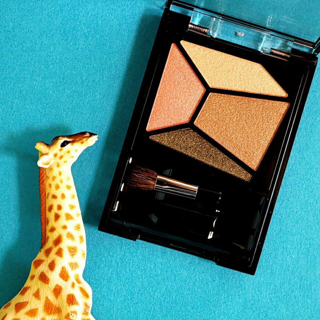 SUSIE N.Y. アイカラービュー