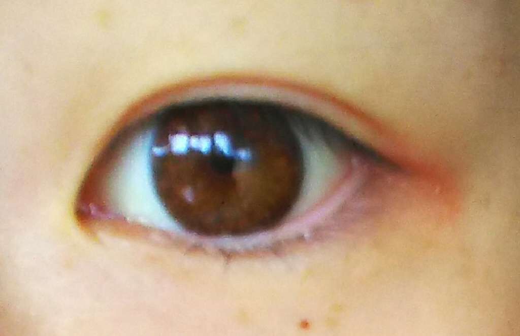 Angelcolor Bambi Series Vintage 1day/AngelColor/ワンデー(1DAY)カラコンを使ったクチコミ(4枚目)