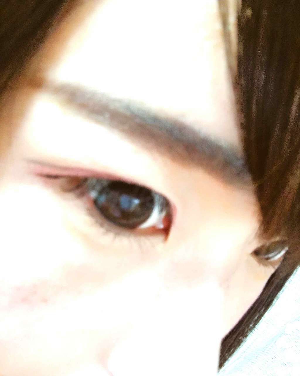 ウィンクグロウアイズ/キャンメイク/ジェル・クリームアイシャドウを使ったクチコミ（1枚目）