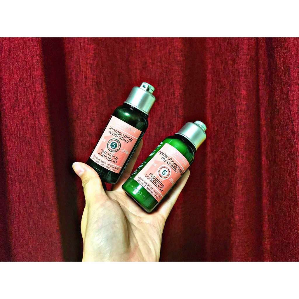 ファイブハーブスリペアリングシャンプー/コンディショナー/L'OCCITANE/シャンプー・コンディショナーを使ったクチコミ(1枚目)